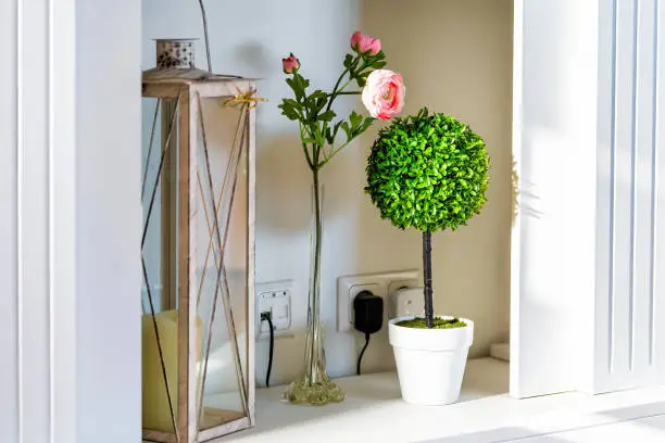 Modern home house living room interior decor with shelf decoration of green flowerpot potted plant and flowers roses in vase closeup