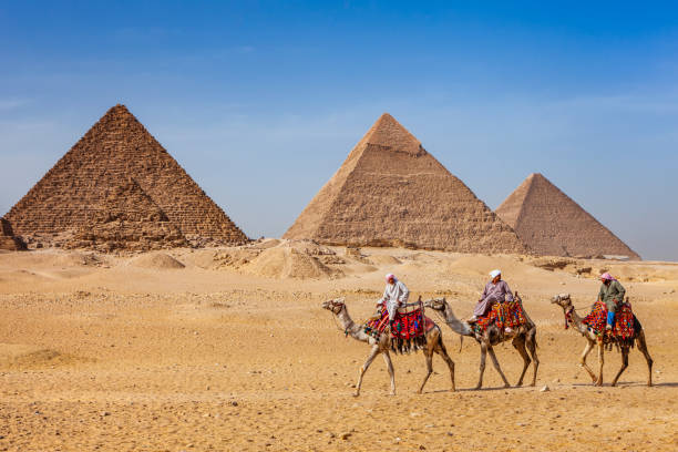 Bedouins and pyramids Bedouins riding on camels, pyramids on the background, Giza, Egypt. giza stock pictures, royalty-free photos & images