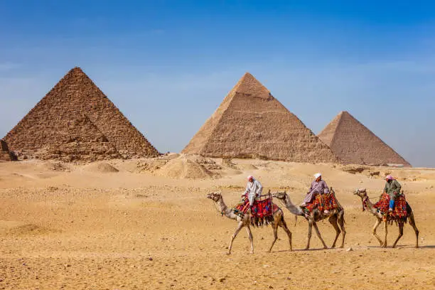 Bedouins riding on camels, pyramids on the background, Giza, Egypt.