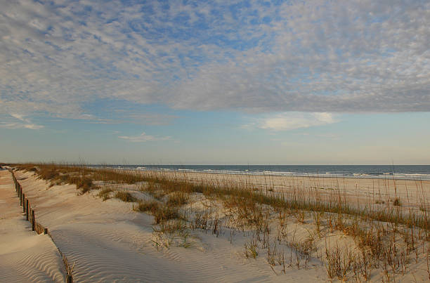 costa della florida - sand beach sand dune sea oat grass foto e immagini stock