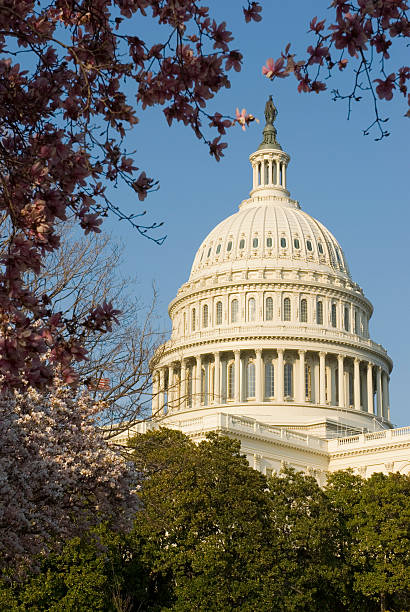 istock United States U.S. Capitol Building Washington D.C. 140474831