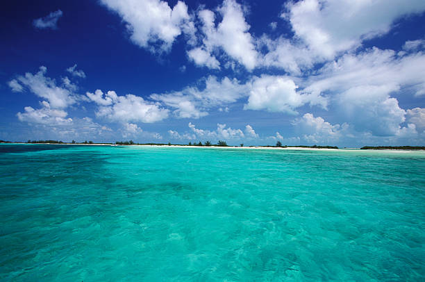 istock trasparency water in Cuba lagoon 140475037