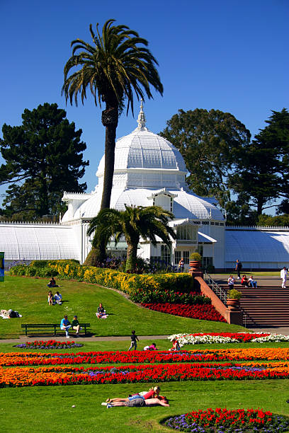 istock Conservatory of Flowers, San Francisco 140475063