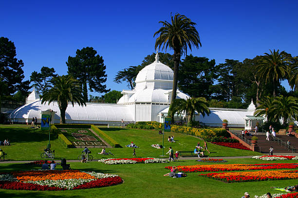 conservatory цветов, сан-франциско - golden gate park стоковые фото и изображения