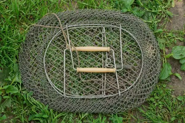 an old gray metal mesh fish bag lies in green grass in nature