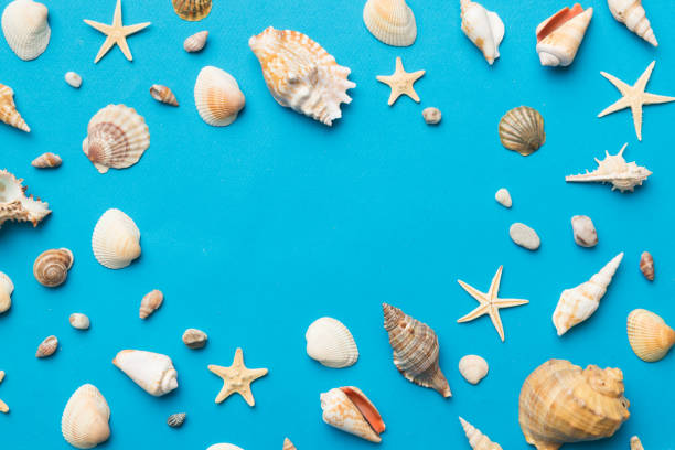 istock Summer time concept Flat lay composition with beautiful starfish and sea shells on colored table, top view 1404753370