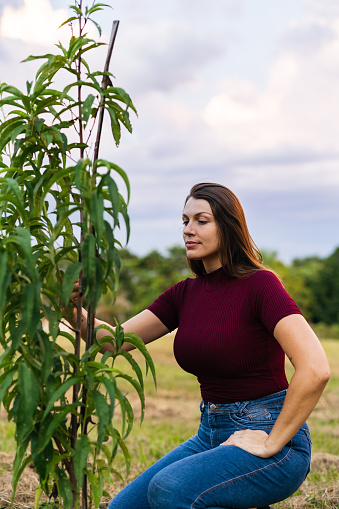 Agronomist woman checking a growing peach tree