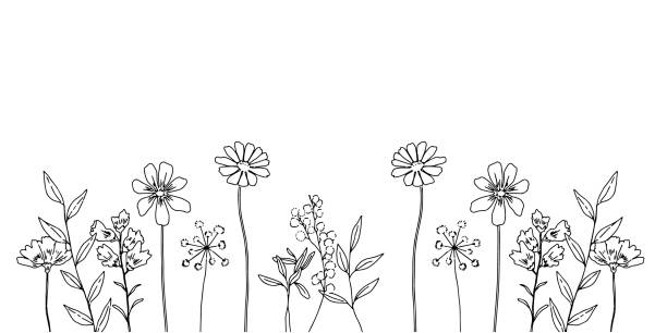 illustrazioni stock, clip art, cartoni animati e icone di tendenza di illustrazione di sfondo di fiori semplici - flower bed