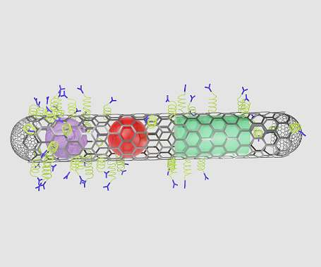 closed ends nanotube with proteins, antibodies, drug, sensor and ferromagnet 3d rendering