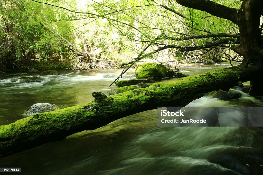 Montanha stream - Foto de stock de Riacho royalty-free