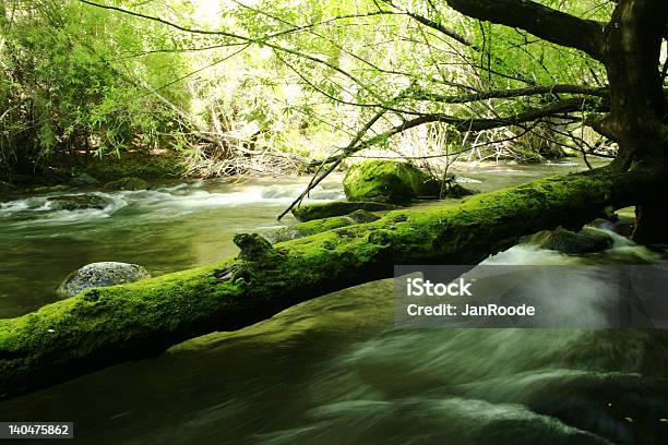 Foto de Montanha Stream e mais fotos de stock de Riacho - Riacho, Argentina, Beleza