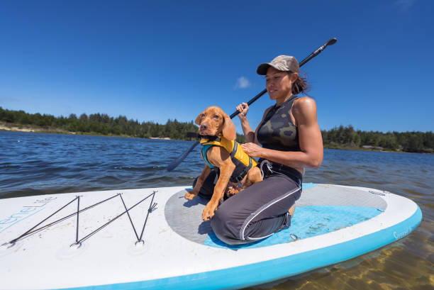sprawna kobieta relaks nad jeziorem ze swoim psem - swimming animal beach casual loving zdjęcia i obrazy z banku zdjęć