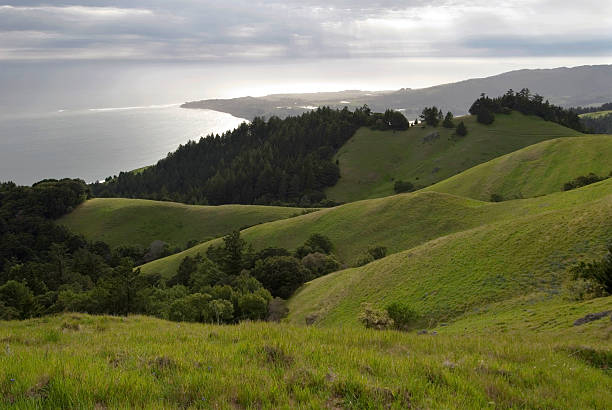 Coastal Spring View of Stinson Beach from Mt. Tamalpais, Marin County, California marin county stock pictures, royalty-free photos & images
