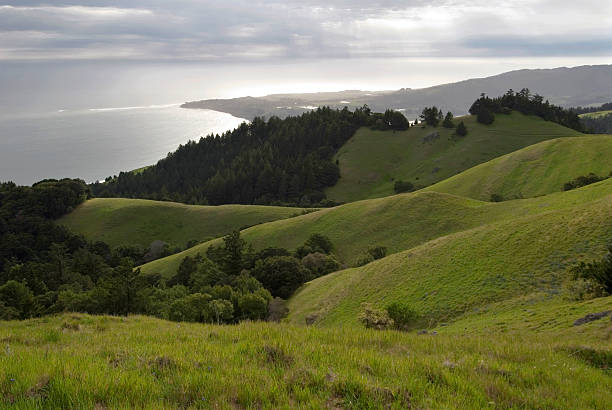 przybrzeżnych wiosna - hill green california grass zdjęcia i obrazy z banku zdjęć