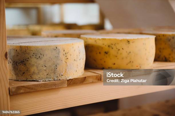 Cheese Sitting In The Cold Room Stock Photo - Download Image Now - Dairy Farm, Dairy Product, Food Processing Plant