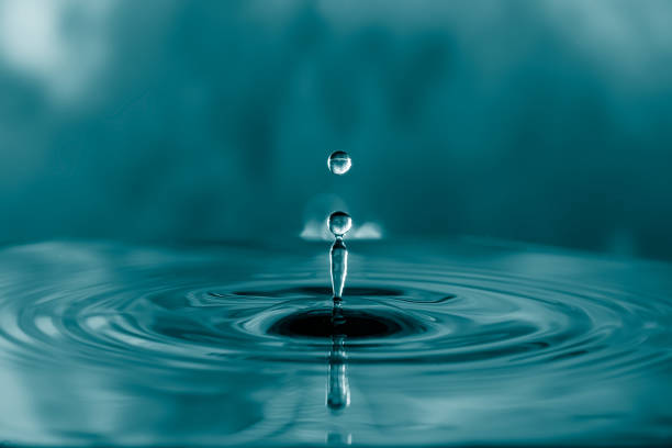 Water Drops