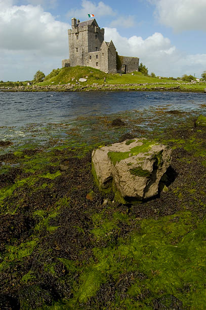 istock Dunguaire castle. Ireland 140476752