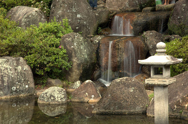 jardim japonês - footpath tree japan stepping stone - fotografias e filmes do acervo
