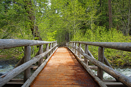 wood bridge within the Willamette National Forest, OR