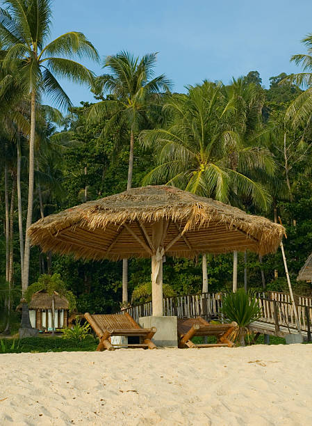 istock beach chairs at tropical resort 140477353