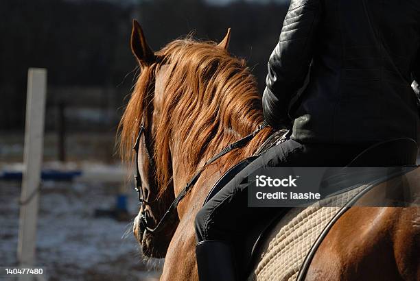 Photo libre de droit de Groats De Cheval banque d'images et plus d'images libres de droit de Adulte - Adulte, Affectueux, Amour