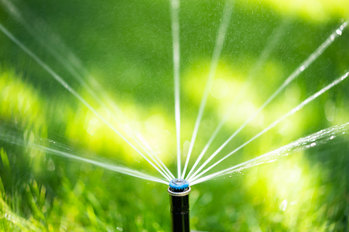 Water sprinkler in garden