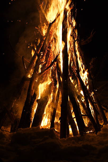 Bonfire stock photo