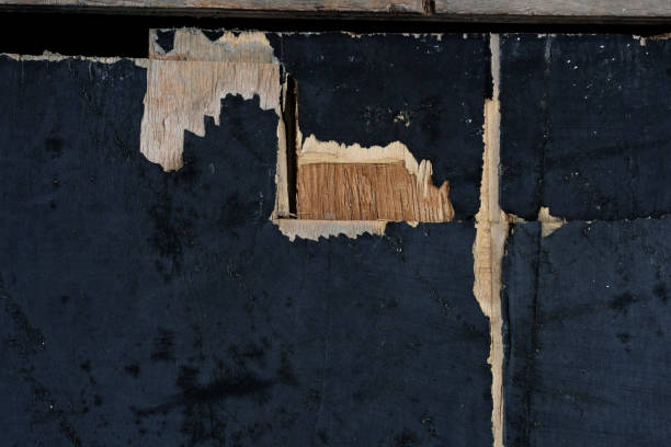 istock texture of wood 1404778163