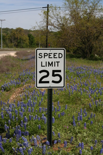 A 25 miles per hour speed limit sign with Bluebonnet around