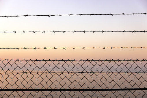 Barbed Wire Fence over Sky and Sea at Sunset Warm Colors Background Full Frame