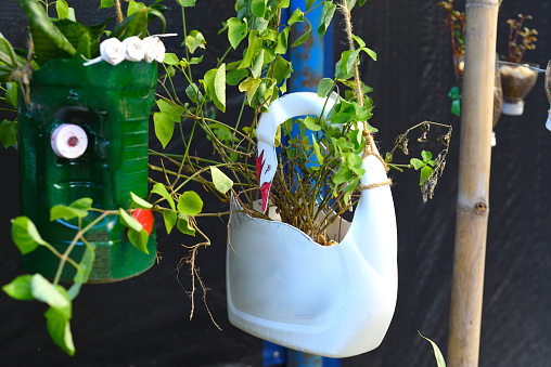 Vase made of plastic bottle with potted plant