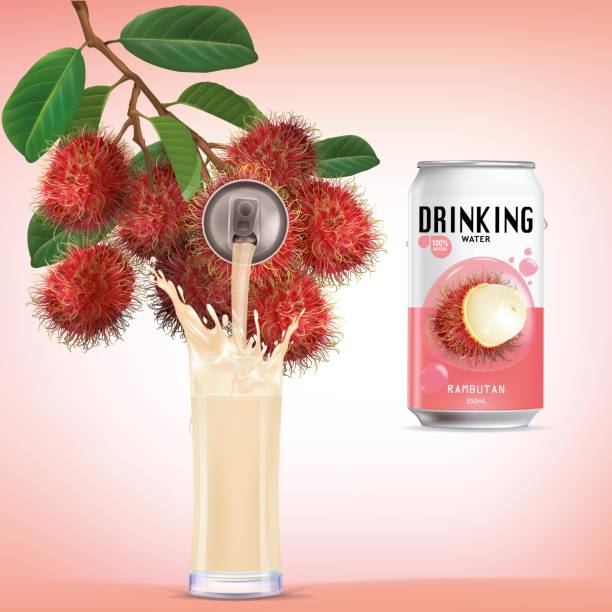 Fresh rambutan fruit juice soft drink with lid aluminum can and drinking straw. Isolated on a white background. Healthy fruit drink concept. Realistic vector illustration. Fresh rambutan fruit juice soft drink with lid aluminum can and drinking straw. Isolated on a white background. Healthy fruit drink concept. Realistic vector illustration. rambutan stock illustrations