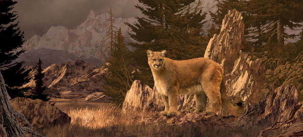 An original 10x22 painting by Larry Jacobsen of a cougar in the Colorado Rockies. / SW-017