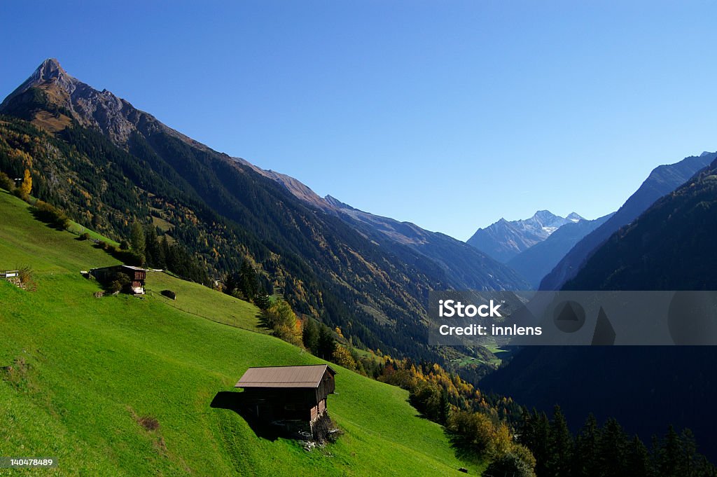 Zillergrund - Foto stock royalty-free di Agricoltura