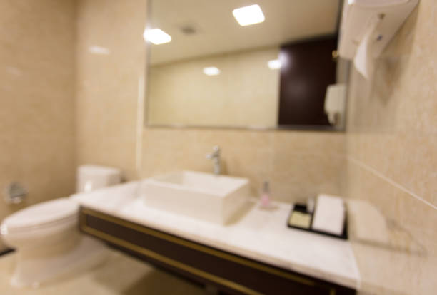 Contemporary bathroom with double sinks and round mirrors. Elegant decor with potted plant. Modern interior design with minimalist aesthetic and natural elements.