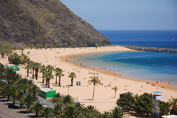 istock beach with palm trees at tenerife, Playa De La Teristias 140478748
