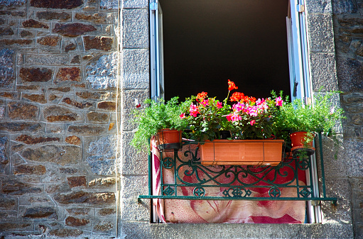 Flower outside the window in France