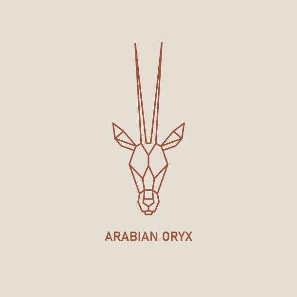ilustrações, clipart, desenhos animados e ícones de ícone da linha poligonal de oxix árabe. símbolo do catar. animal selvagem do deserto. vetor - oryx