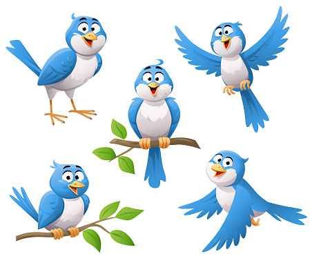 Set of cute blue birds flying, standing and sitting on a branch, isolated on white background.