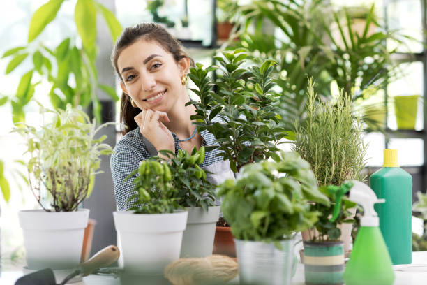 istock Professional florist working in the garden center 1404810262