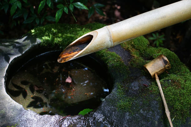 istock Hand-washing in the garden 1404810972