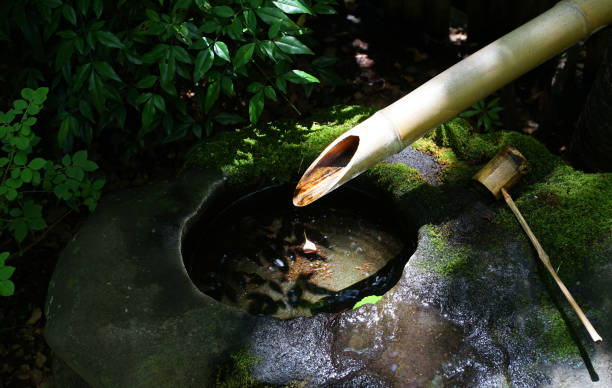 istock Hand-washing in the garden 1404810975