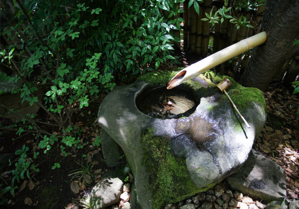 istock Hand-washing in the garden 1404810983