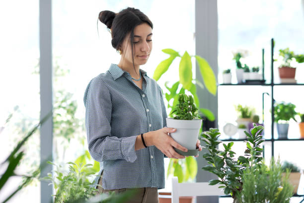 istock Woman holding a beautiful plant 1404811016