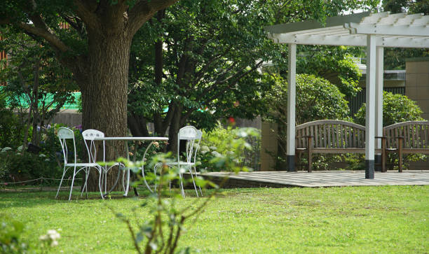 istock The garden on a sunny day 1404811363