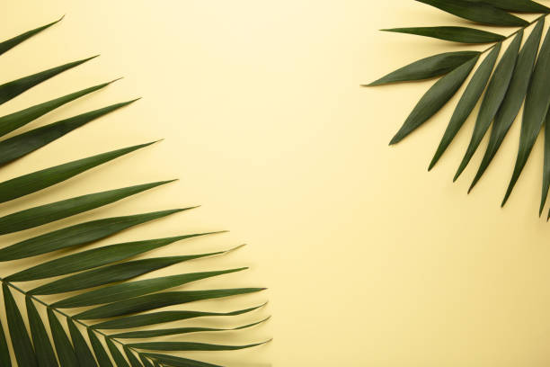istock Green tropical palm leaves on beige background. Minimal summer concept. Creative flat lay. 1404811642