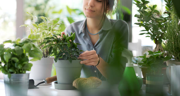 istock Young gardener posing with plants 1404812386