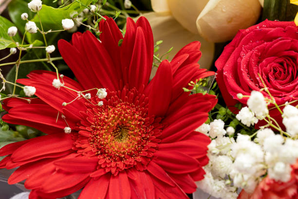 istock A large bouquet of flowers 1404816632