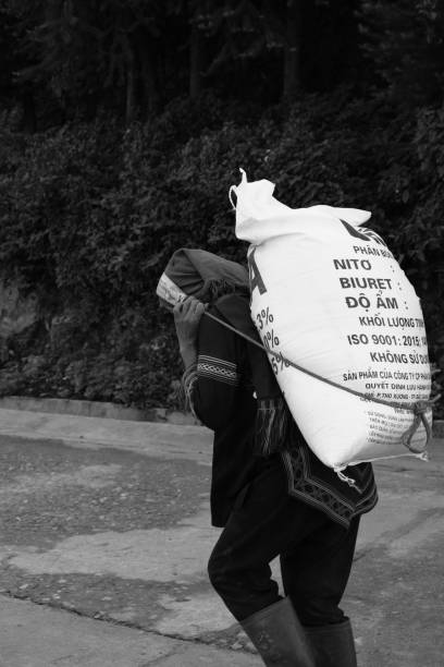 Sapa, Vietnam - April 29,  2020: The signature of the Ha Nhi ethnic minority. The woman in this photo is quite old but she still works to make ends meet herself.