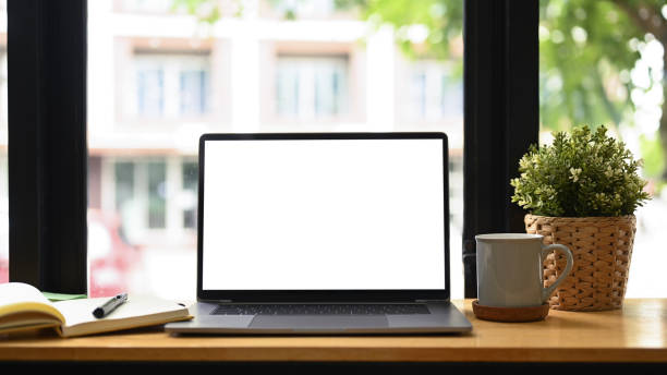 Front view laptop computer, coffee cup, houseplant and notebook on white table. Comfortable workplace. Front view laptop computer, coffee cup, houseplant and notebook on white table. Comfortable workplace. computer monitor stock pictures, royalty-free photos & images